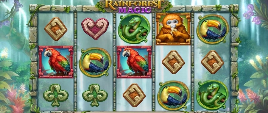 Reseña de la tragamonedas Rainforest Magic